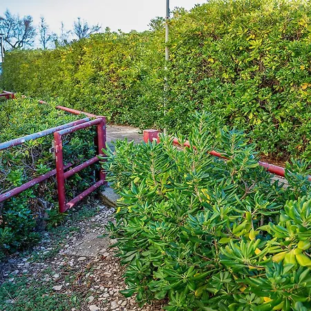 Senigallia, Bilocale Fronte Mare Con Giardino - Se040 Scapezzano